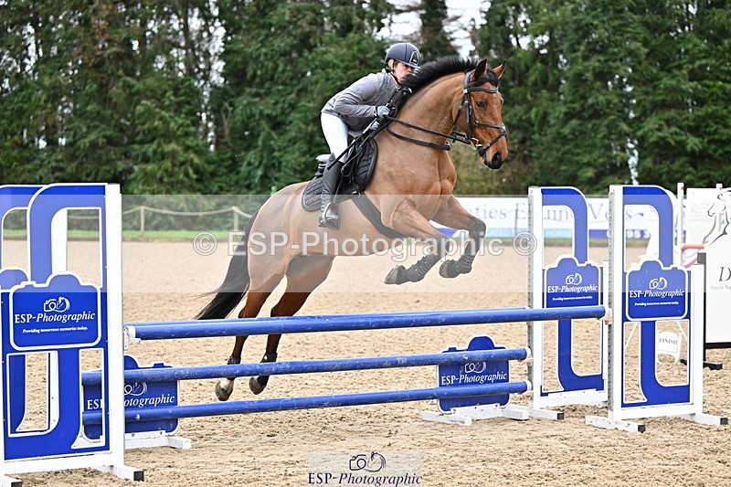 250201A-103331-00252 - Cls 01 Local Horse 90cm