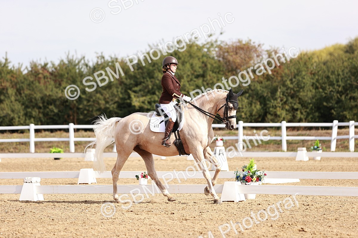 SBM_017017 - Class 10 - Medium 6