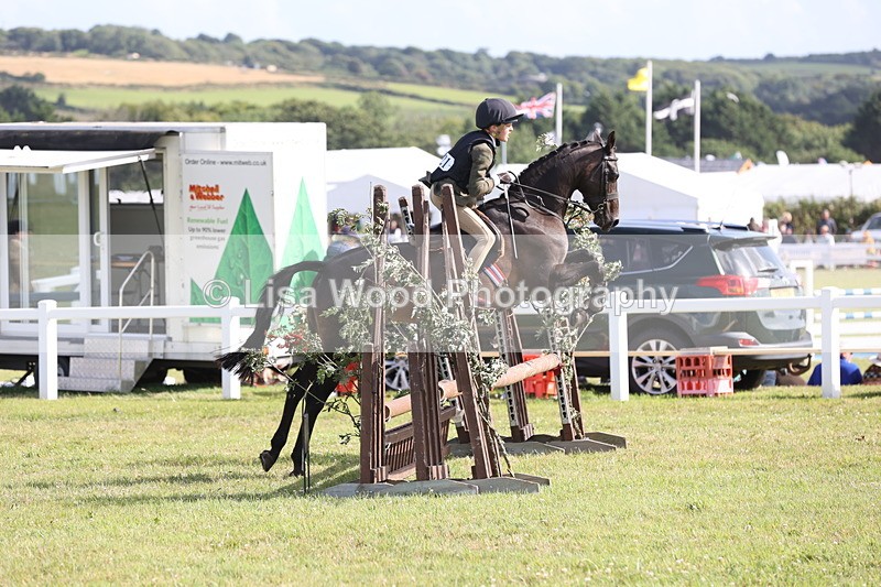 JPP_2791 - Class 20: Working Hunter 70cm