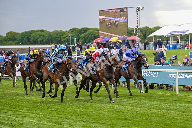 140526-Race 3-Maybe Not-4893 - Race 3 2.55pm Oakmere Homes Hambleton Handicap