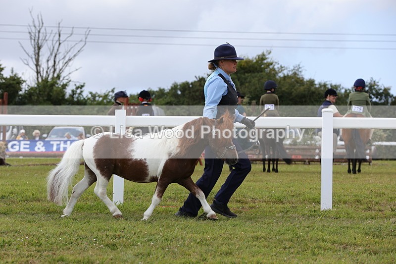 1X9A4751 - Class 35: Veteran In Hand
