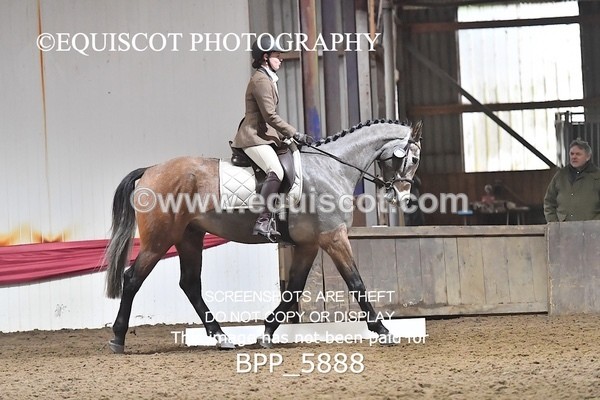 BPP_5888 - 31 Iona Cosh