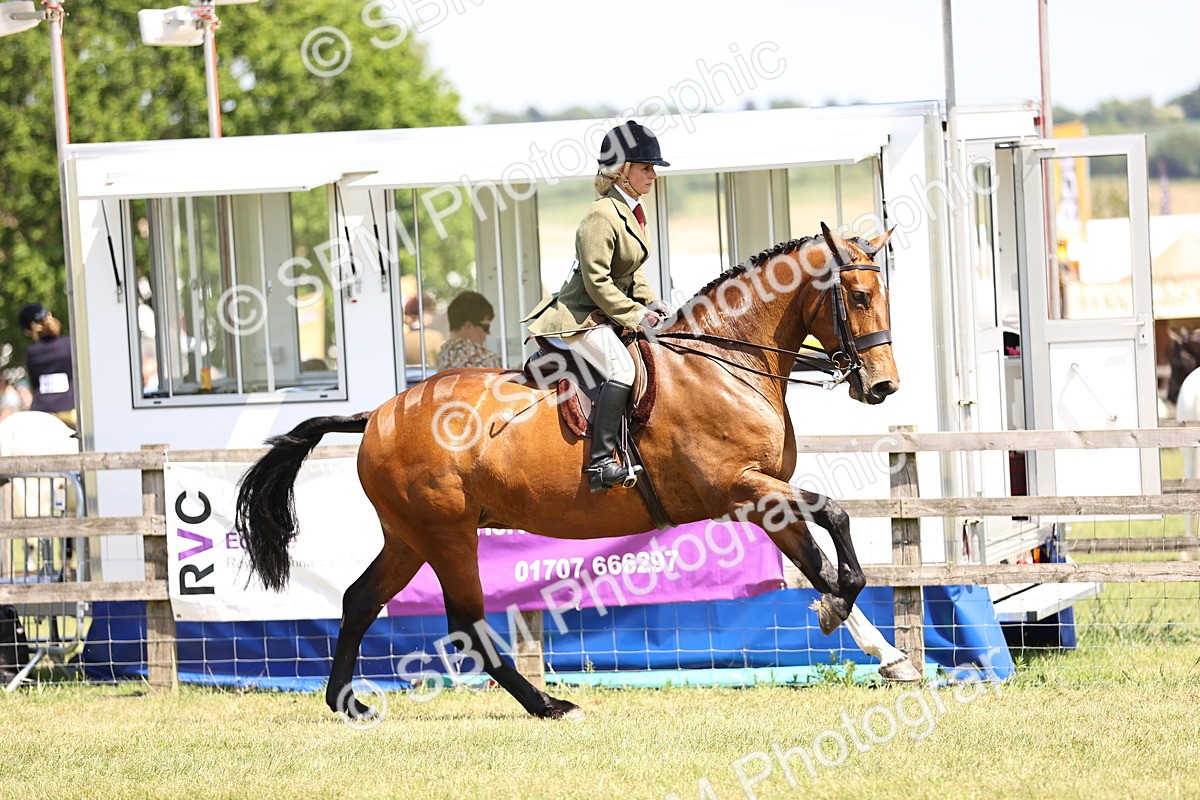 SBM_15177 - Class 79-80 - LIHS BSHA Rising Star Ridden Hunter