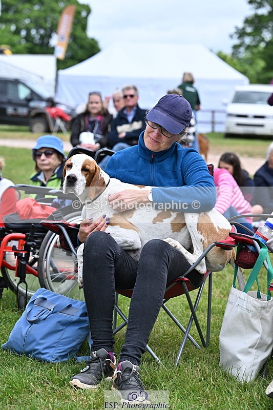 250525A-104538-15775 - Western Counties Crowds
