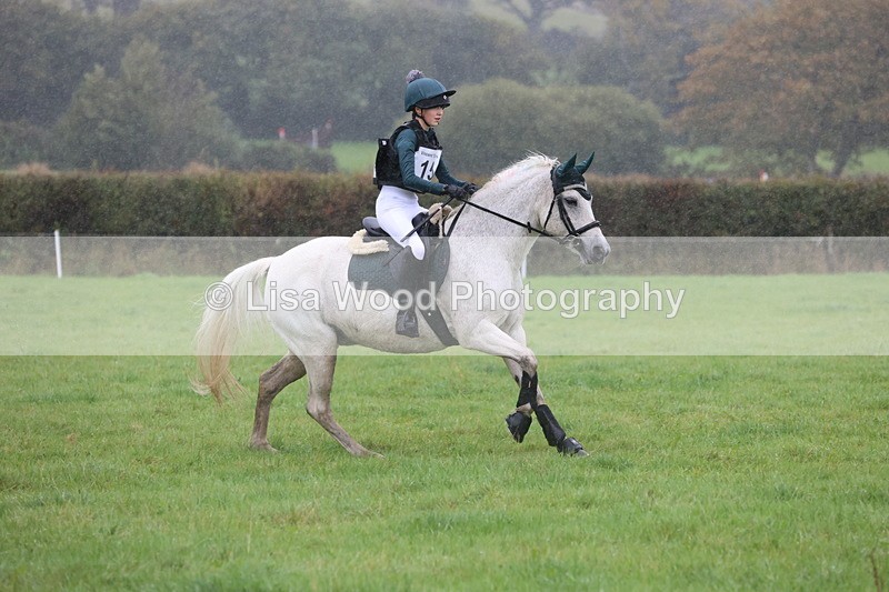 JPP_5079 - Class 1: 65cm : Showjumping