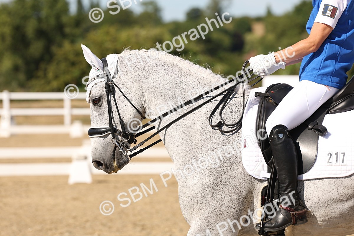 SBM_003846 - Elementary 4