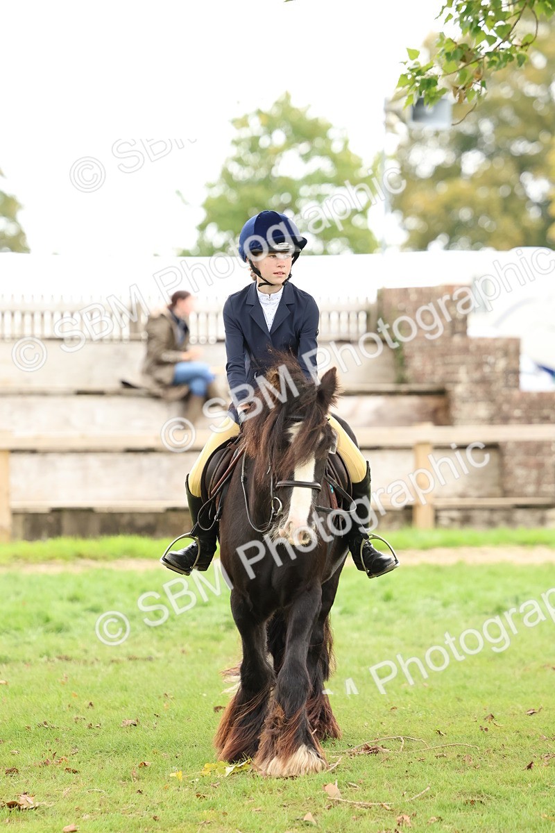 SBM_67556 - S60 - Mini Show Cob Ridden