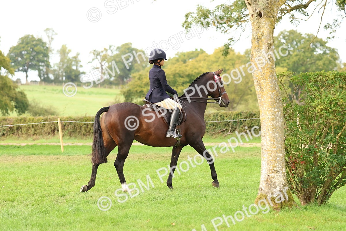 SBM_56688 - S40 - Starters Ridden Showing