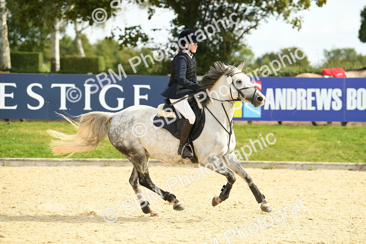 SBM_65053 - J48 - Pairs Jumping Open 70cm & 85cm