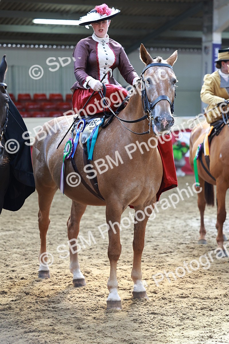 SBM_13632 - Class 105 - Ridden Costume - Side Saddle