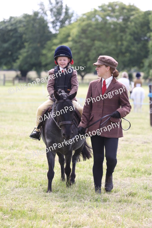 20260614-0569 - Class 20 - Beginners Working Hunter Pony