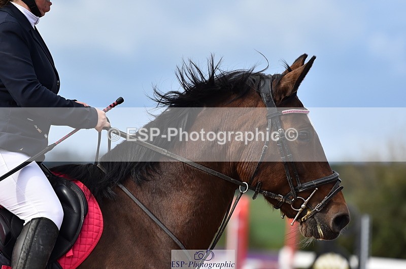 231014A-105608-03942 - Cls 13 85cm Amateur Q 2nd R