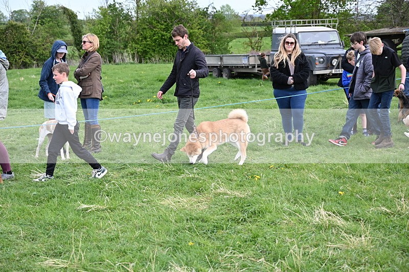 WJ6_8499 - Class 6 Best Rescue