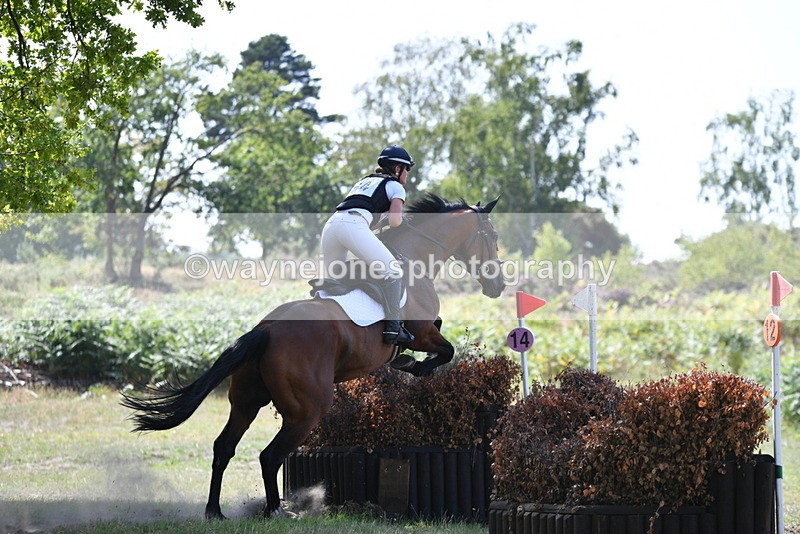 WJ5_3464 - XC Time 13:30 to 14:00