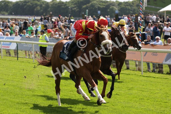 yr10062022r3-39 - Race 3 3.00pm British EBF supporting Racing with Pride Fillies' Handicap