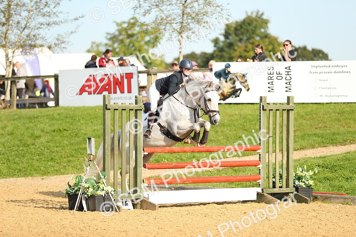 SBM_60308 - J41 - Grand Tour 95cm Championship