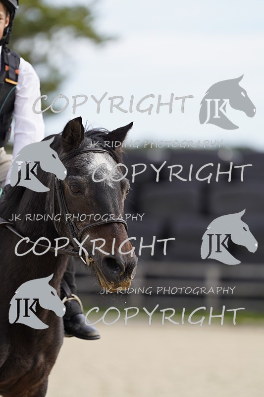 _DSC0129 - Mini Pairs