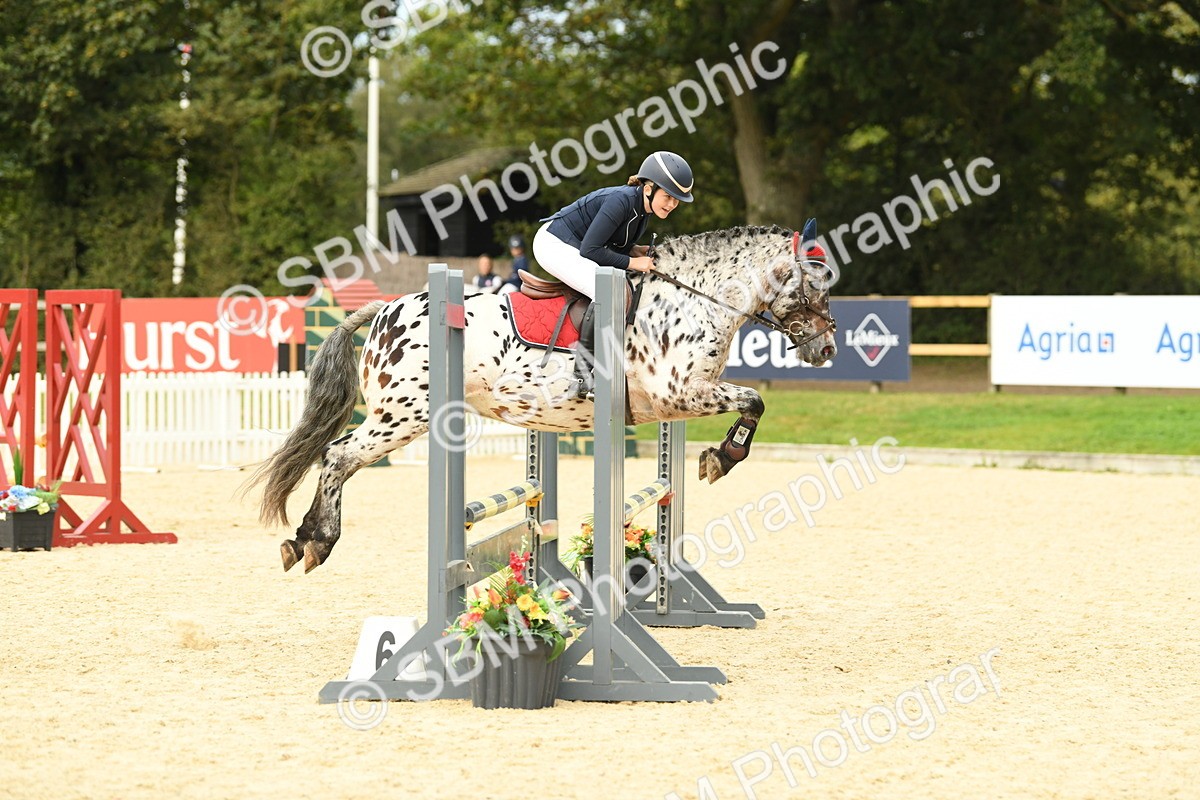 SBM_75678 - Supreme Championship