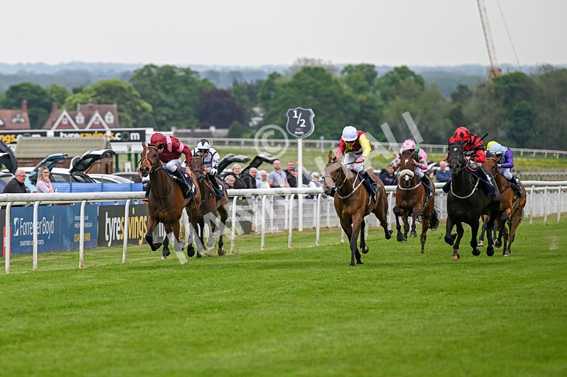 140524-Race 6-Flickering Halo-2691 - Race 6