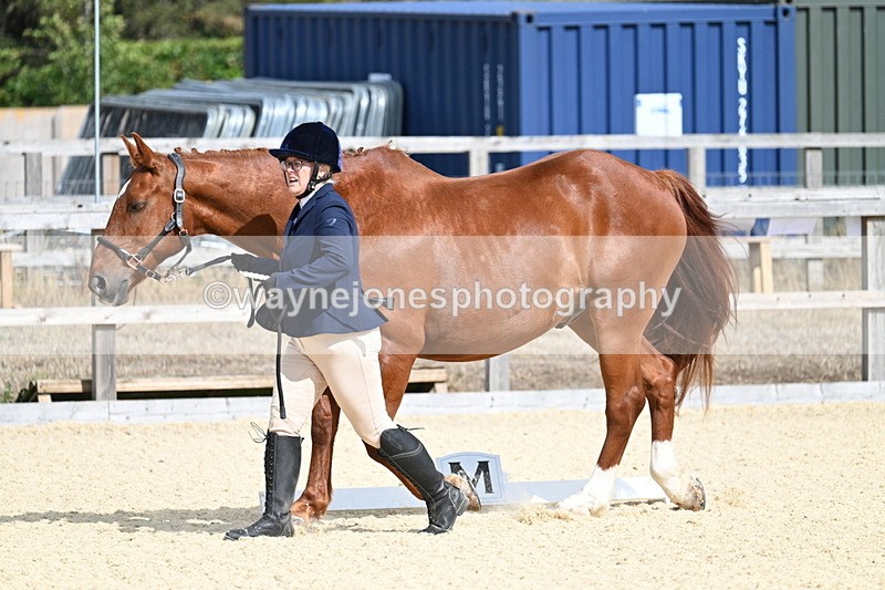 WJ7_2011 - In Hand