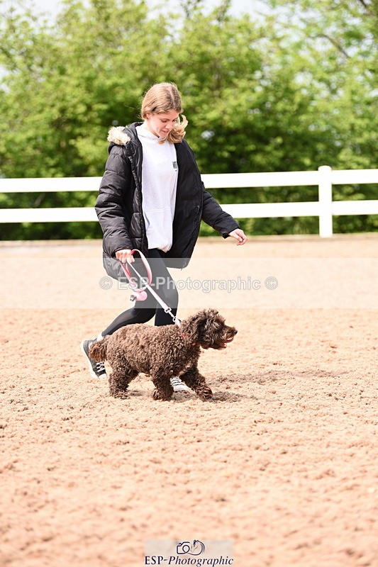 240518A-114820-00829 - Cls 2 Prettist Bitch