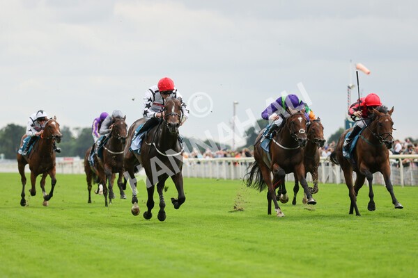 yr04092022r4-13 - Race 4 3.30pm Federation of Bloodstock Agents Nursery Handicap