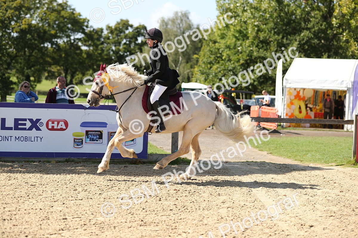 SBM_04843 - J28 - Senior Horse & Pony 60cm Championships