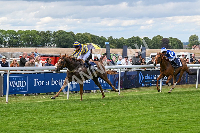 240625-Race 7-Azuinthejungle-9358 - Race 7