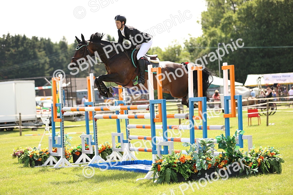 SBM_03151 - Class 201 - British Horse Feedds Speedi Beet HOYS Grade C