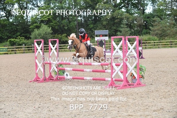 BPP_7729 - CLASS 3 Pony British Novice / 0.80m Open