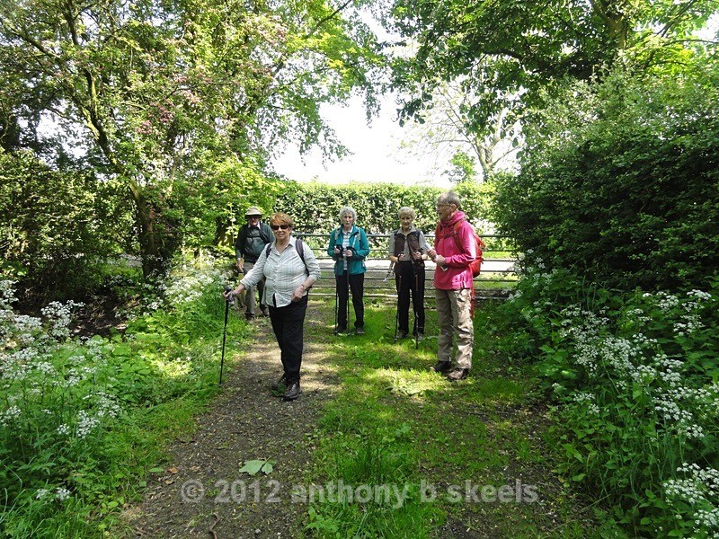 035 Garforth into Brecks Farm - SAINT PAULINUS PILGRIMAGE TRAIL