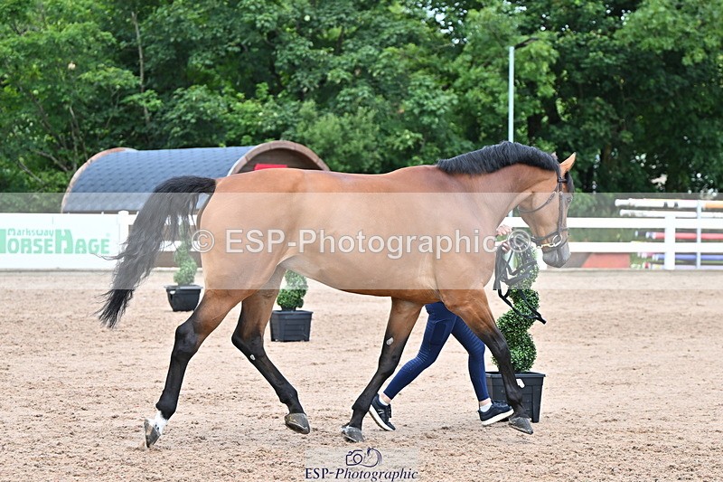 240718A-105322-01909 - Trot Up 2pm to 3pm - This folder is not in time order