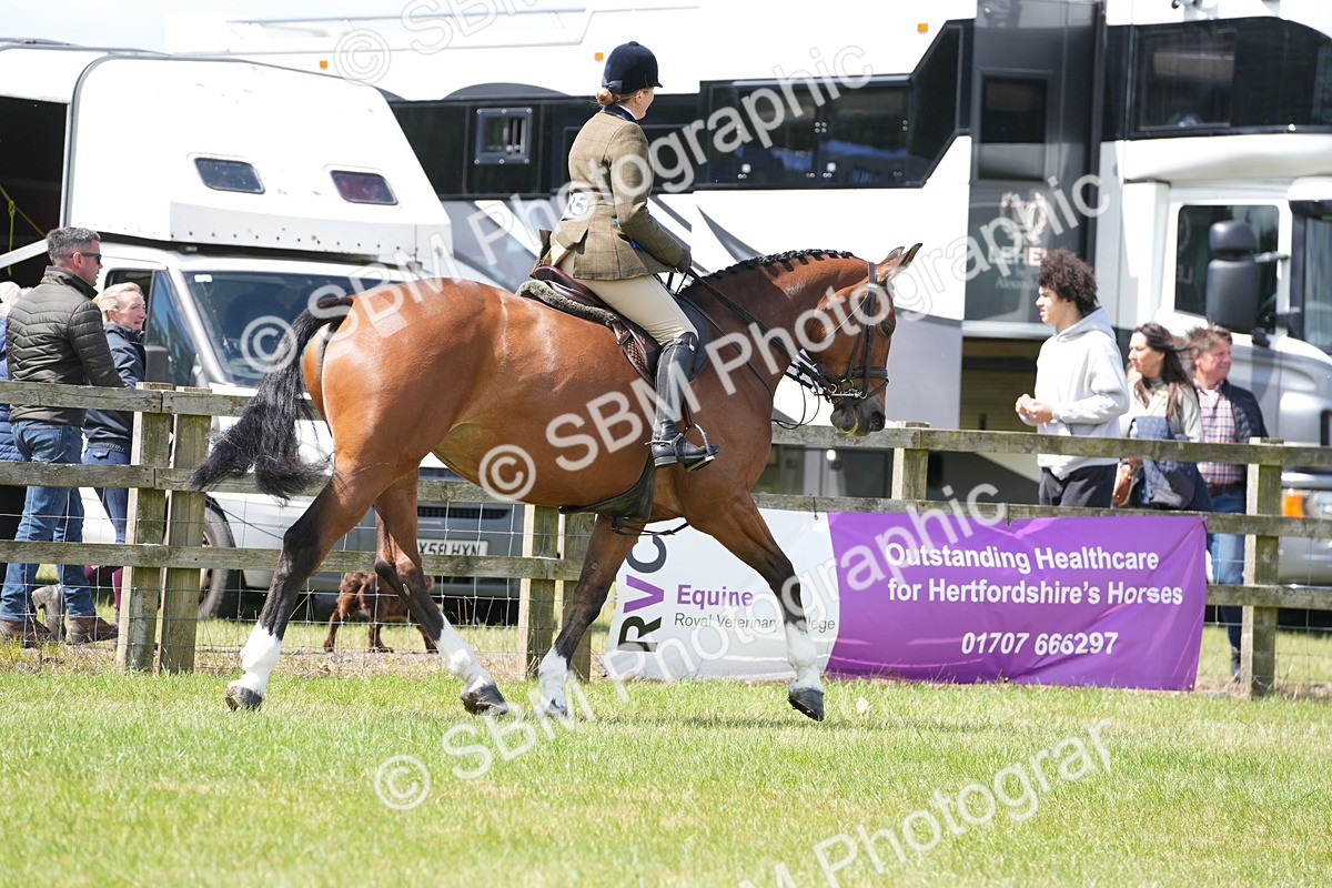 SBM_15064 - Class 100-102 - RIHS Working Hunter