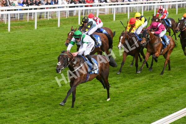yr22052022r4-19 - Race 4: 5:05pm Sky Bet Sunday Mile