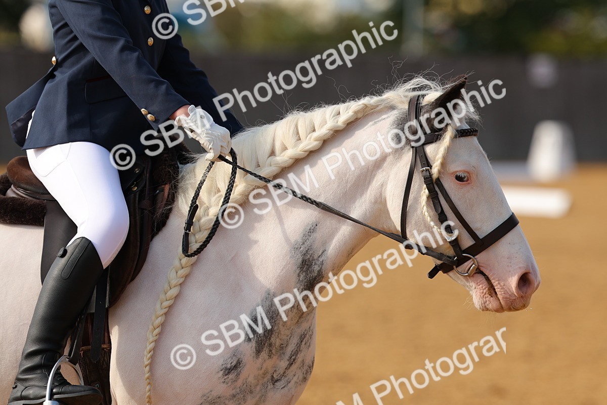 SBM_49668 - D22 - Junior Championship - Intro B