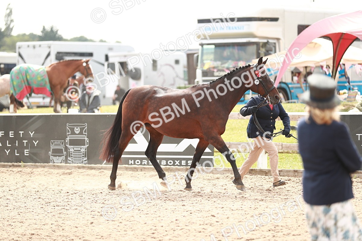 SBM_13186 - Class 208 IH Veteran Horse