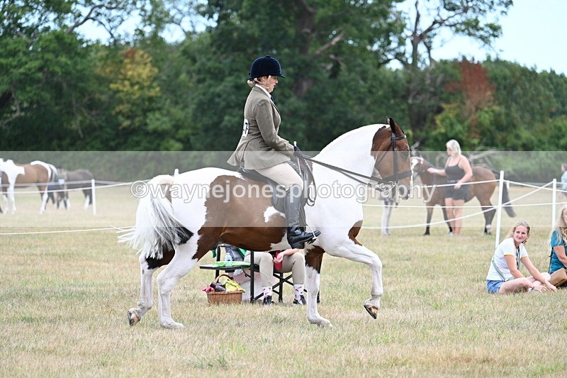 WJ7_4900 - Class 12 Ridden Cob