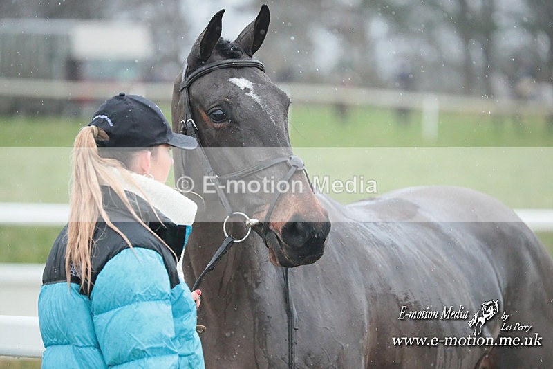 PtP 101223 153 - New Forest Hounds PtP Larkhill 10/12/23