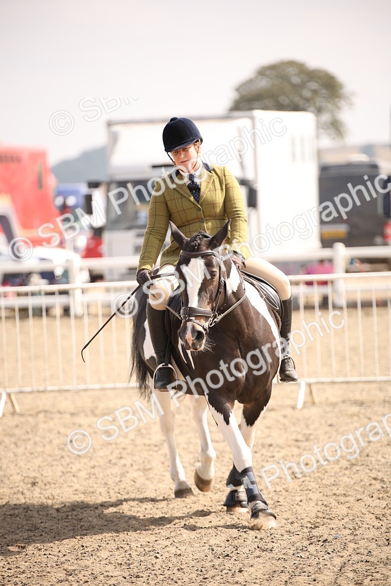 SBM_13615 - Class 406b - Working Veteran 50cm (20+)