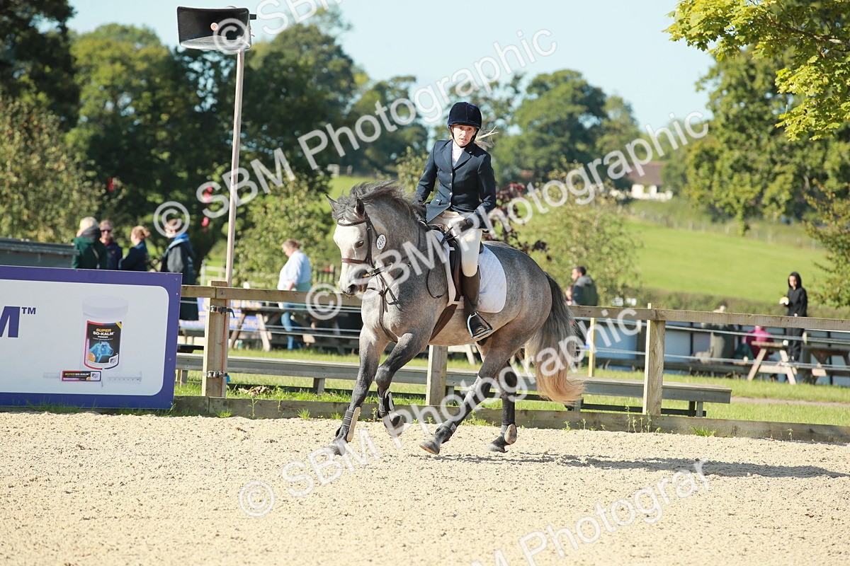 SBM_01621 - J27 Senior 50cm Championship