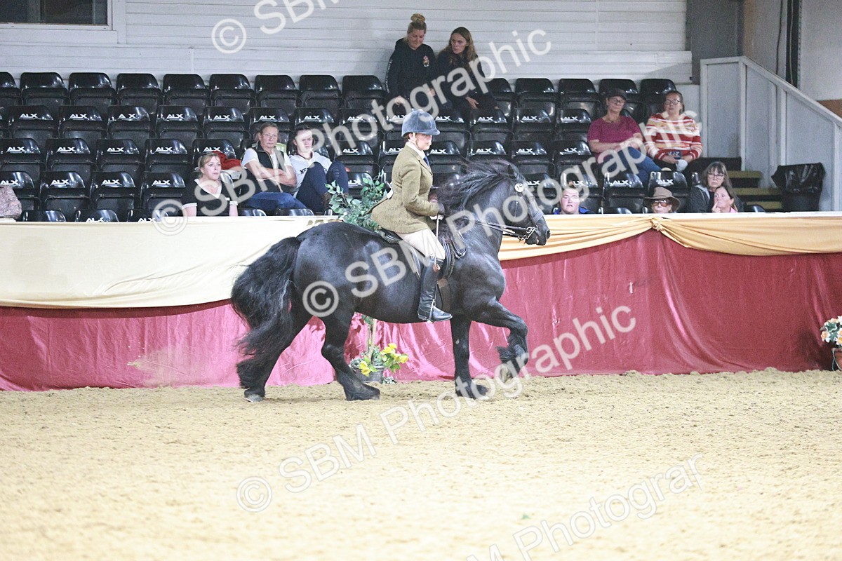 SBM_09032 - Class 12R - Regional Ridden Pre-Vet