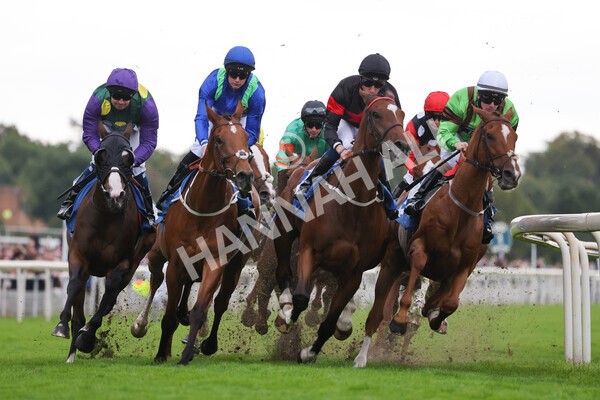 yr24092021r6-21 - Race 6 4.25pm William Hill Pick Your Places Stakes