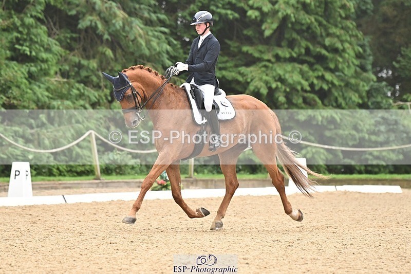 240811-113815-05223 - 208-Tom.Carter-Rubin.Regal