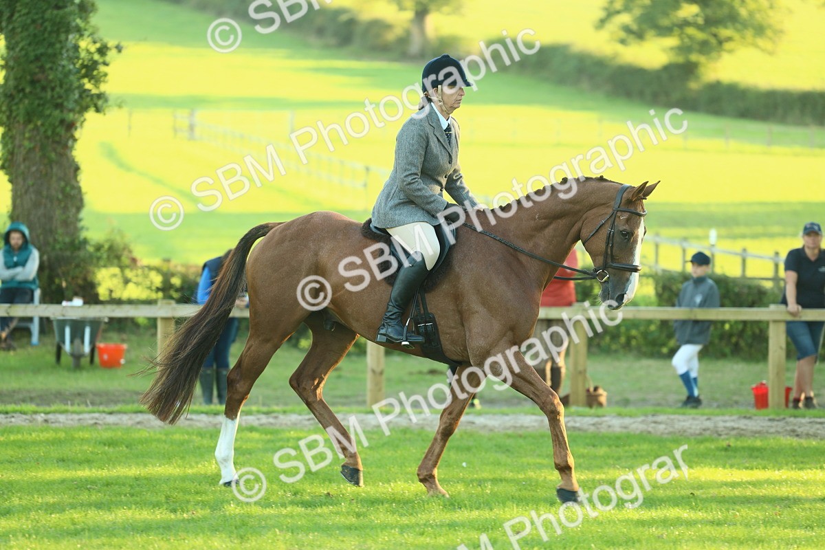 SBM_55655 - S14 - Riding Club Horse