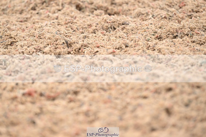 250705-175529-02809 - N1 Section BDNOV1 1350 to 15.28