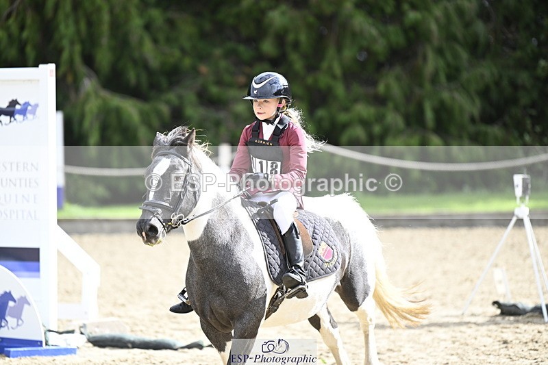 251005A-122104-03733 - Cls 08 Mini 70-75cm