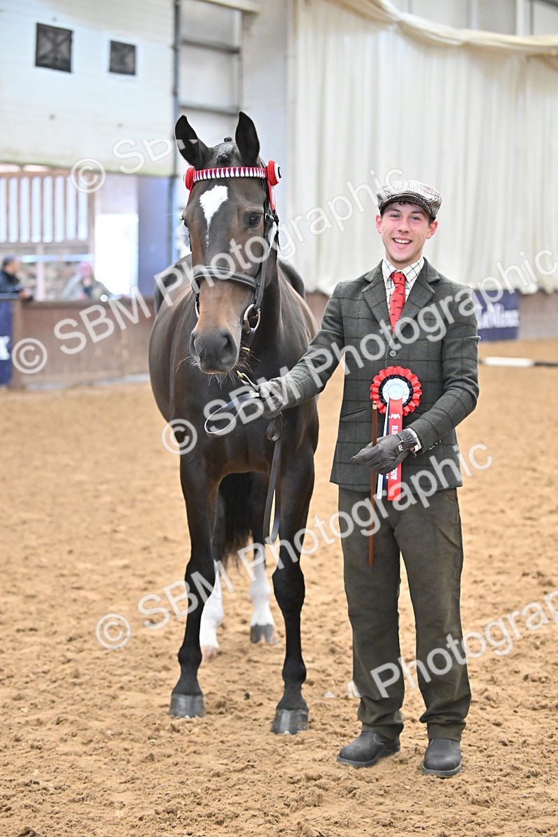 EB7_8434 - Class 3 - In Hand Foreign Breeds & Warmbloods