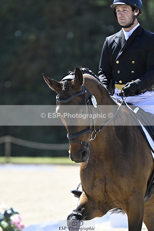 250522A-111758-03054 - B-317-Rupert.Batting-COOMBELAND.TALISMAN
