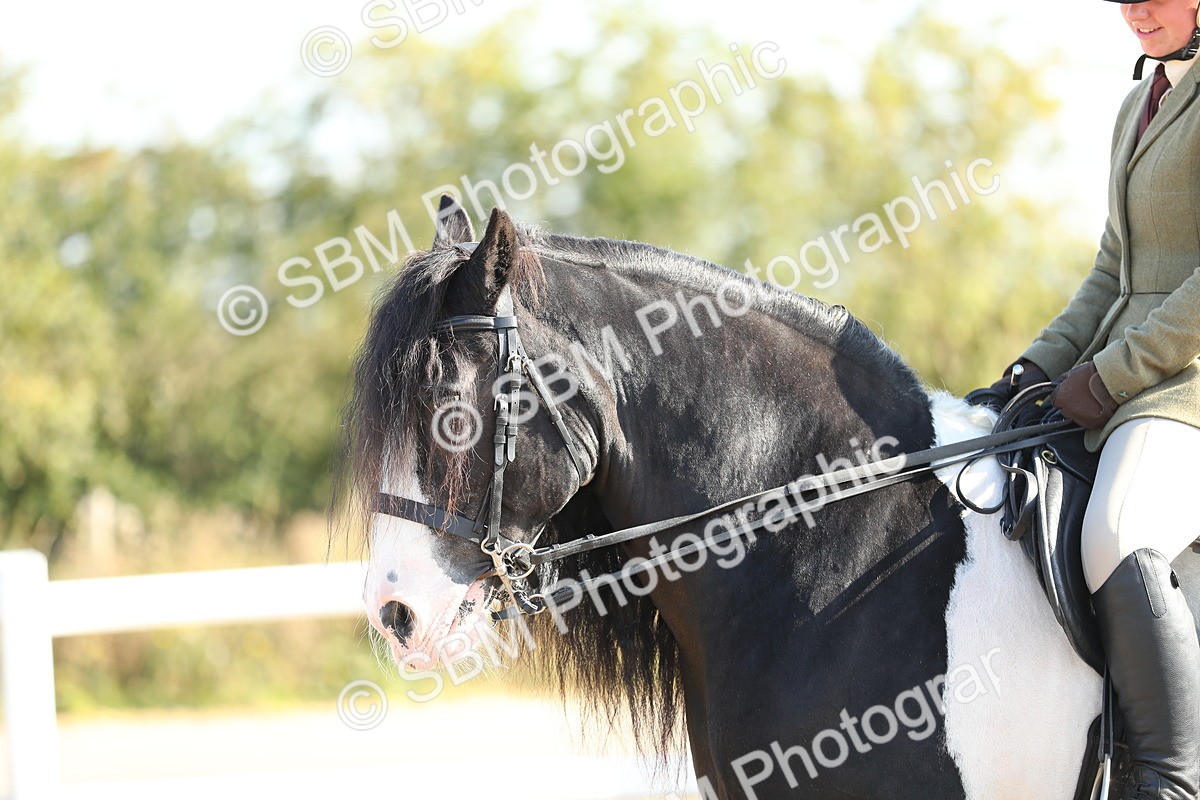 SBM_01172 - Class 42 Ridden Veteran