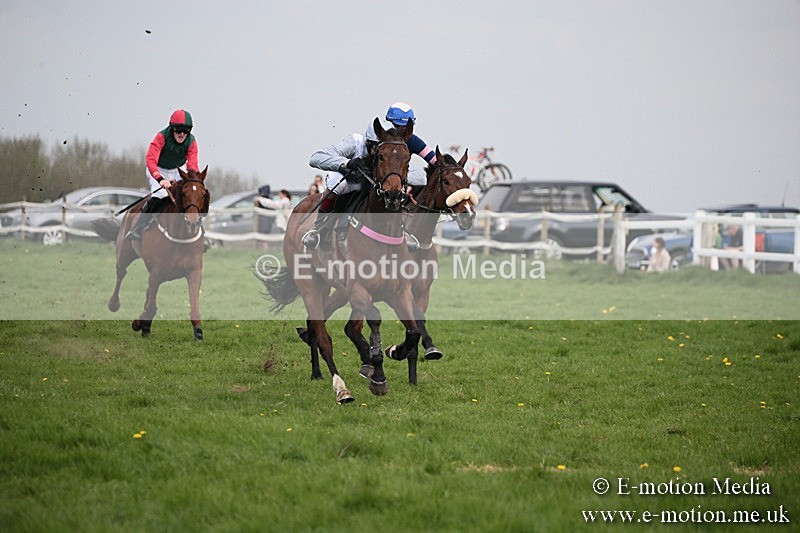 PtP 210418 364 - South & West Wilts Point-to-Point Larkhill 21/04/18